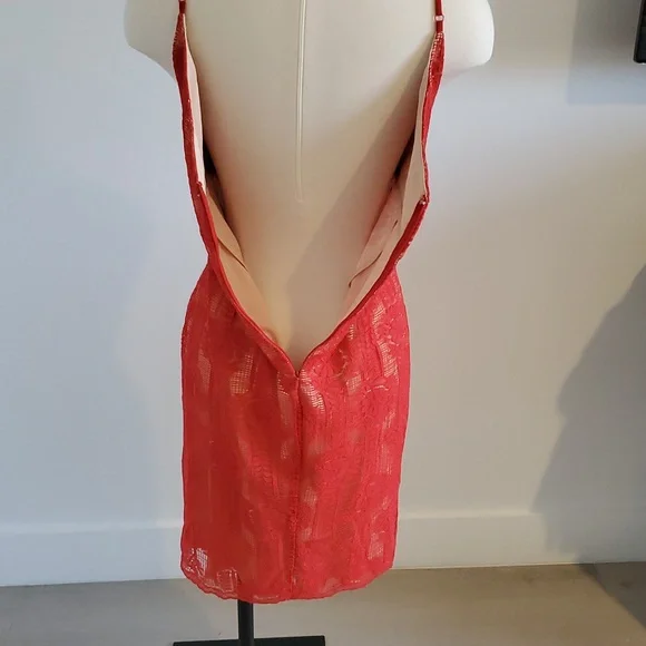 Lulu's women’s Scarlet Lace Overlay Dress fully lined in nude Size XL NWOT - Picture 7 of 11